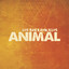 Animal Albumcover