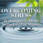 Overcoming Stress Albumcover