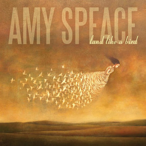 Land Like a Bird cover