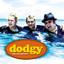 The Collection cover