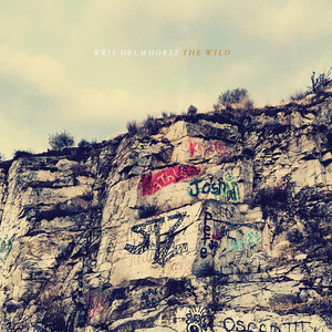 The Wild cover