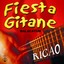 Fiesta gitane autour d'un feu, vol. 1 (Malacatum) Albumcover