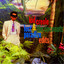 Lost Paradize Edits cover