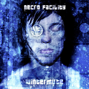 Wintermute cover