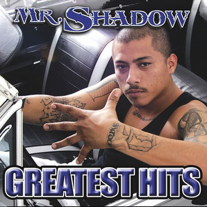 The Best of Mr. Shadow album