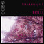 Cinemascope I Albumcover