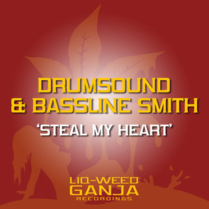 Drumsound and Bassline Smith feat Youngman