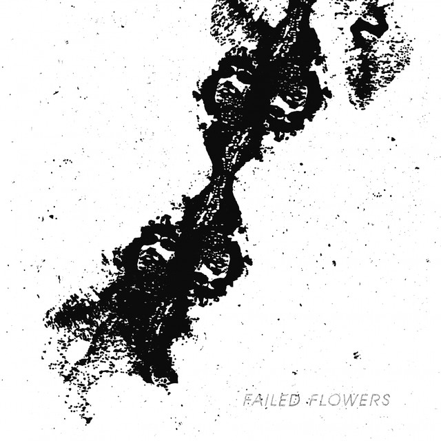 Failed Flowers Photo