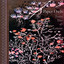 Leaves, Trees & Galaxies Albumcover