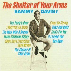 The Shelter of Your Arms cover