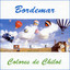 Bordemar