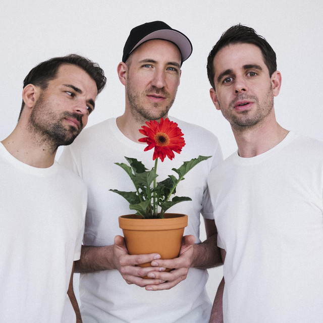 Musik Artist Montreal