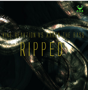 Kike Reaktion, Aaron The Bass