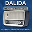 Les grandes chansons cover