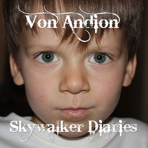 Skywalker Diaries Albumcover