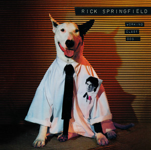 Working Class Dog cover
