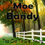 Too Old to Die Young cover