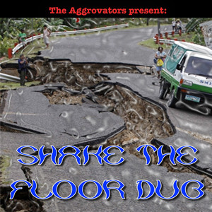 The Aggrovators Present: Shake the Floor Dub album