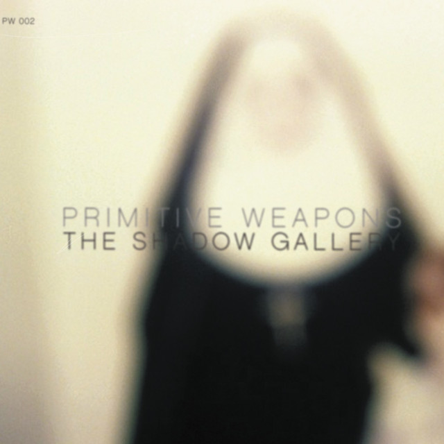 The Shadow Gallery cover