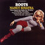Boots cover