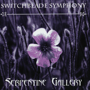 Serpentine Gallery album