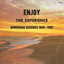 Enjoy the Experience : Homemade Records 1958-2004 cover