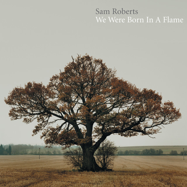 We Were Born In A Flame cover