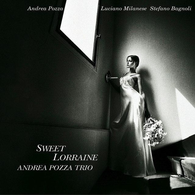 Andrea Pozza Trio Photo