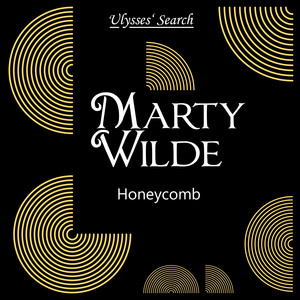 Honeycomb cover