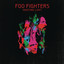 Wasting Light (Deluxe Version) cover