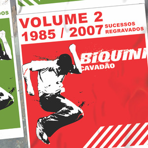 1985-2007 - Sucessos Regravados Vol. 2 album