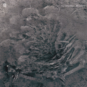 Rhizome cover
