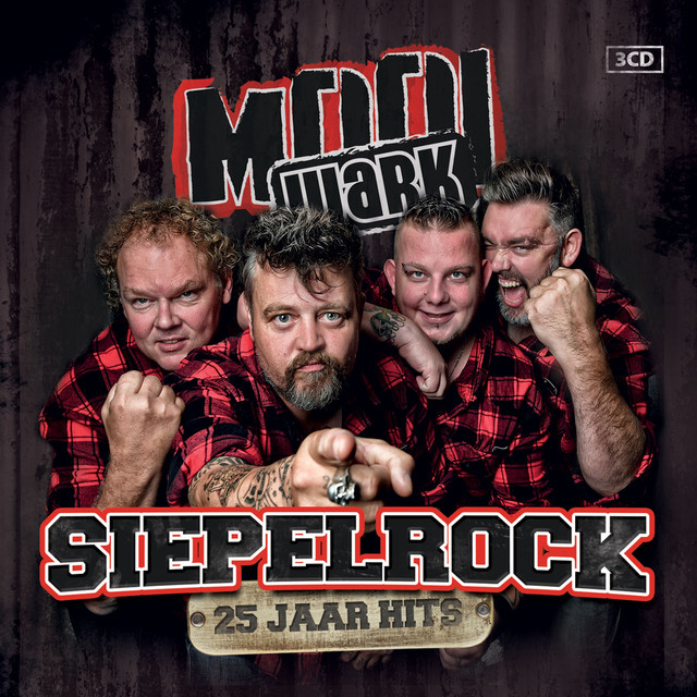 Siepelrock, 25 Jaar Hits cover