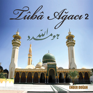 Tuba Ağacı 2 Albumcover