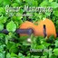 Guitar Masterpieces Albumcover