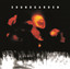 Superunknown (Commentary) cover