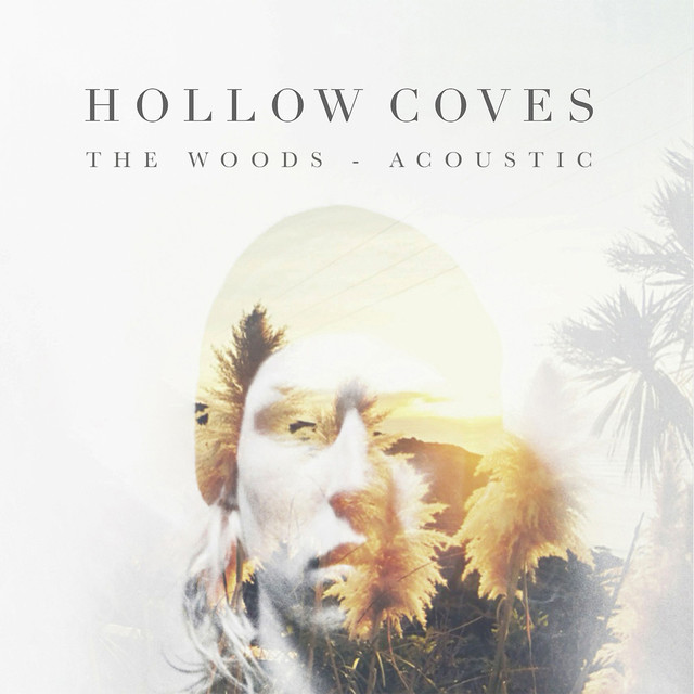 The Woods (acoustic) cover