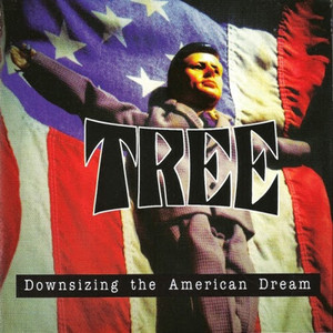 Downsizing the American Dream cover