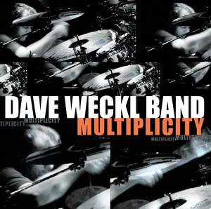 Multiplicity cover