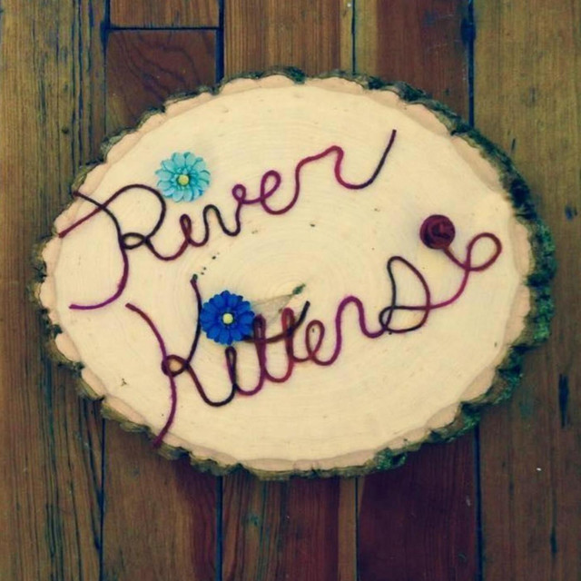 River Kittens Photo