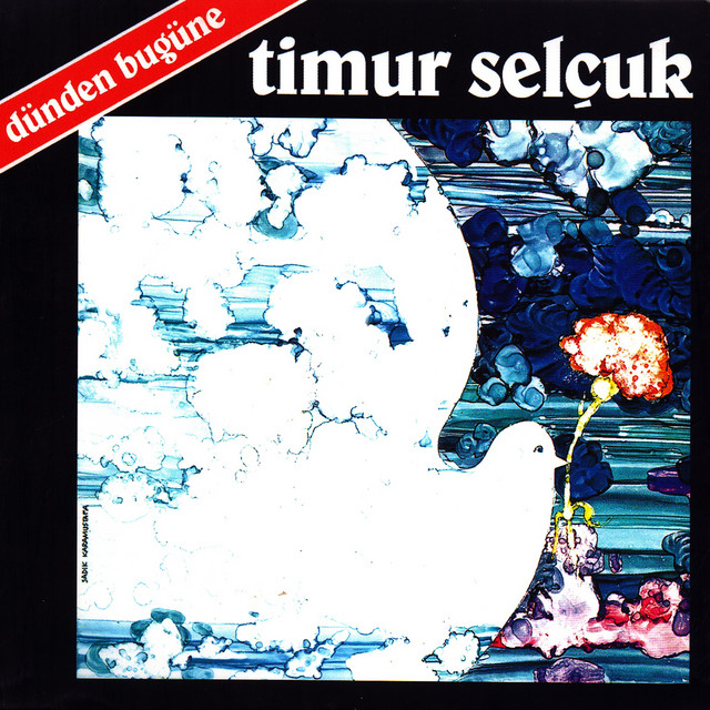 Timur Selçuk photo