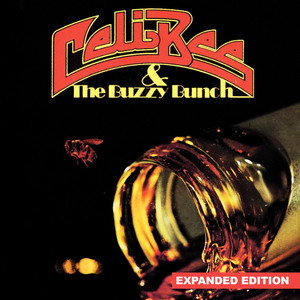 Celi Bee & The Buzzy Bunch (Expanded Edition) [Digitally Remastered] Albumcover