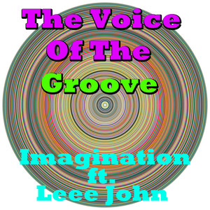 The Voice Of The Groove cover