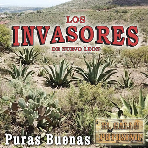 Puras Buenas album