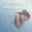50 Tranquil Deep Sleep Tracks cover