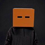 PaperFace profile