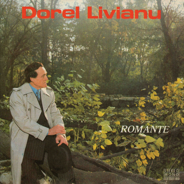 Dorel Livianu Photo