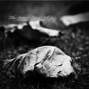 The Autumn Leaves Fall In Photo