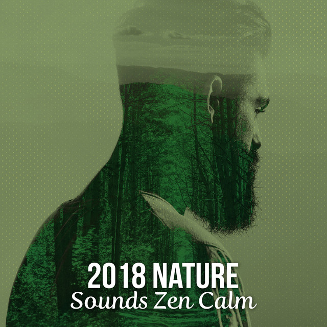 2018 Nature Sounds Zen Calm