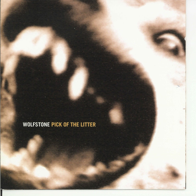 Pick Of The Litter cover
